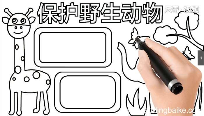 爱护野生动物手抄报 爱护野生动物画报