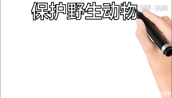 爱护野生动物手抄报 爱护野生动物画报