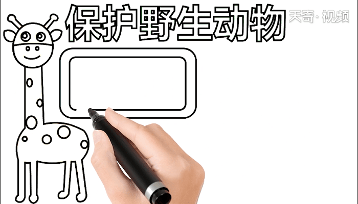 爱护野生动物手抄报 爱护野生动物画报