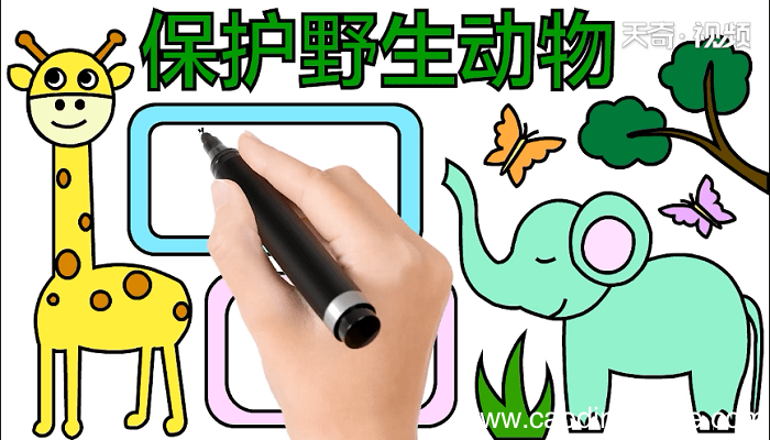 爱护野生动物手抄报 爱护野生动物画报