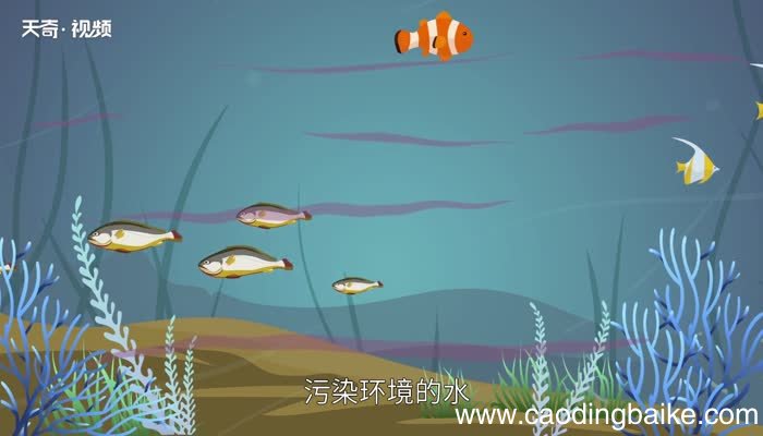 水污染的原因 造成水体污染的主要原因