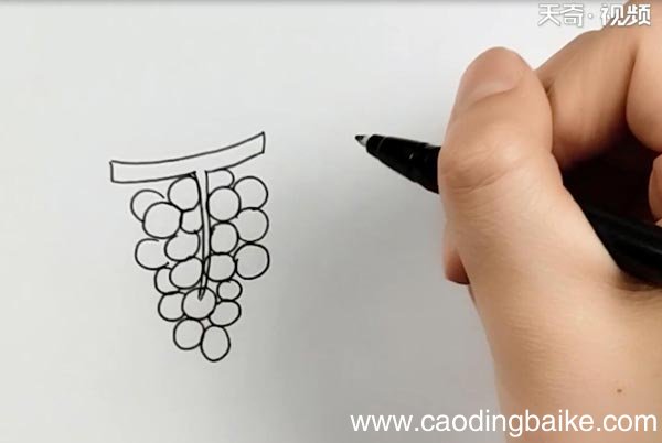 葡萄图片简笔画