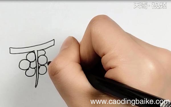 葡萄图片简笔画