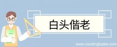 白头偕老造句 白头偕老意思