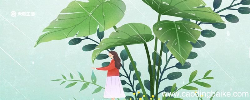 写春雨的比喻句 关于写春雨的比喻句