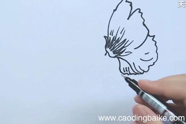 小花简笔画 小花怎么画