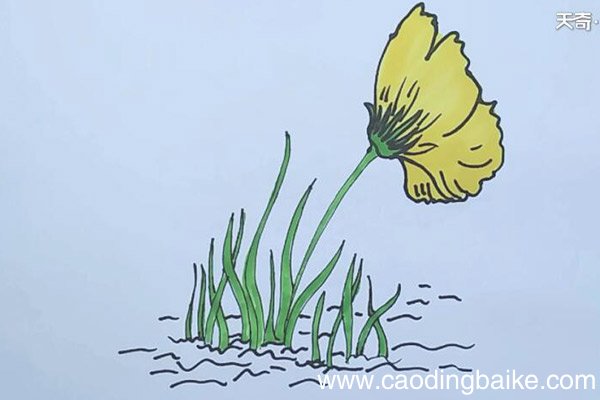 小花简笔画 小花怎么画