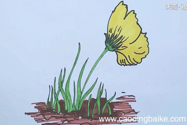 小花简笔画 小花怎么画