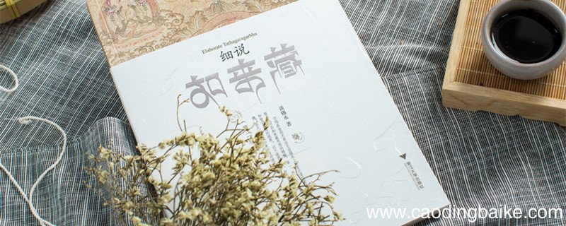 东床坦腹文言文翻译 东床坦腹文言文翻译注释