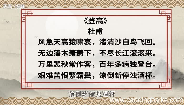 登高赏析 登高赏析意思