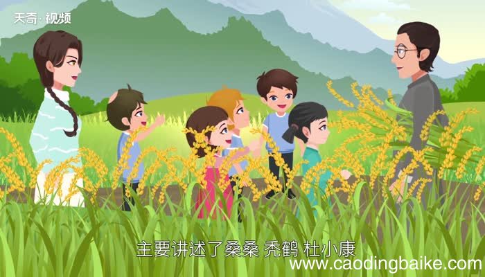草房子主要内容 草房子主要内容概括