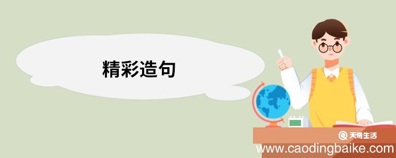 精彩造句 精彩的意思
