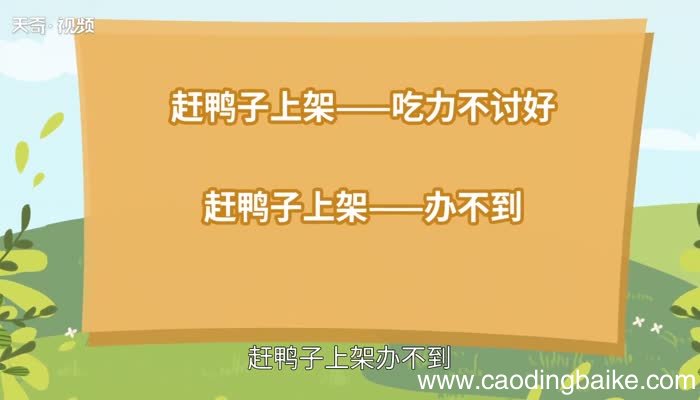 赶鸭子上架歇后语 赶鸭子上架歇后语下一句