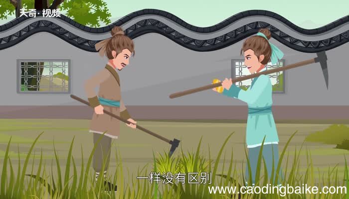 割席断交文言文翻译 割席断交原文翻译