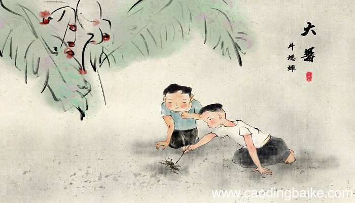 在牛肚子里旅行讲了一个什么道理 在牛肚子里旅行明白了什么道理