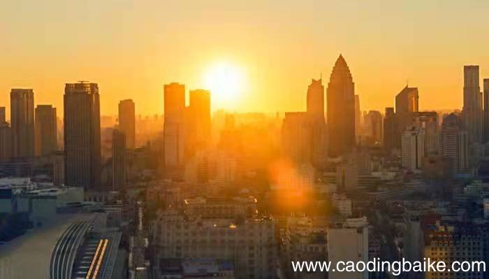 日暮伯劳飞,风吹乌桕树什么意思 日暮伯劳飞风吹乌桕树赏析
