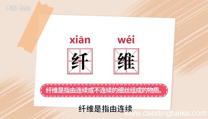 纤维的意思 纤维的解释