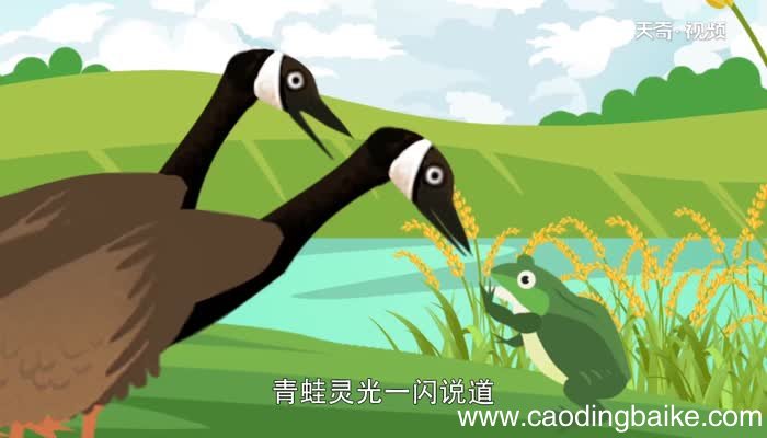 青蛙搬家的寓言说明了什么道理 青蛙和大雁的故事