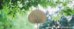 初夏绝句陆游译文 初夏绝句陆游的译文