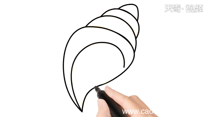 巴西涡螺简笔画 巴西涡螺简笔画怎么画