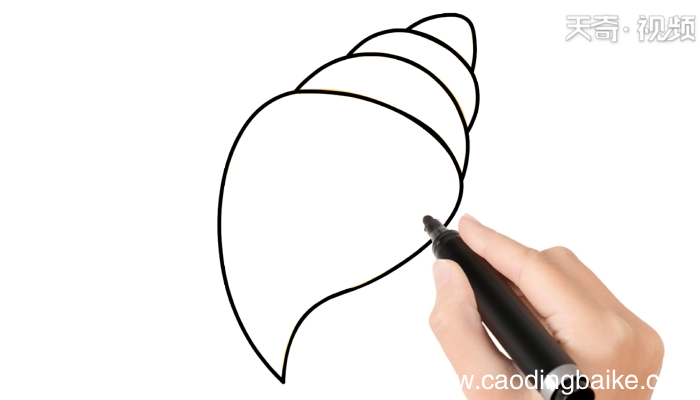 巴西涡螺简笔画 巴西涡螺简笔画怎么画