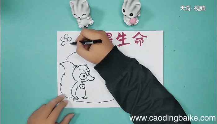 敬畏生命的手抄报 敬畏生命的手抄画报