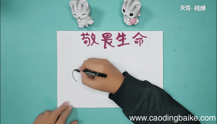敬畏生命的手抄报 敬畏生命的手抄画报
