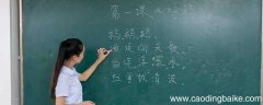 语文课程的性质 语文课程的性质和特点