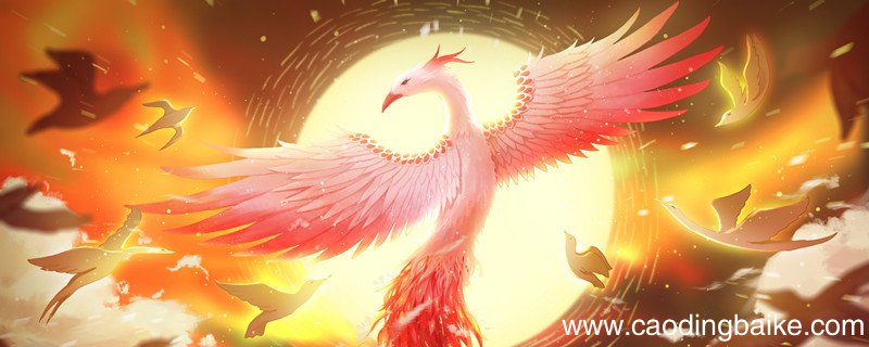 毛凤鳞角是什么意思 毛麟凤角啥意思