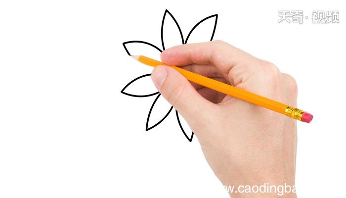 昙花简笔 昙花简笔怎么画
