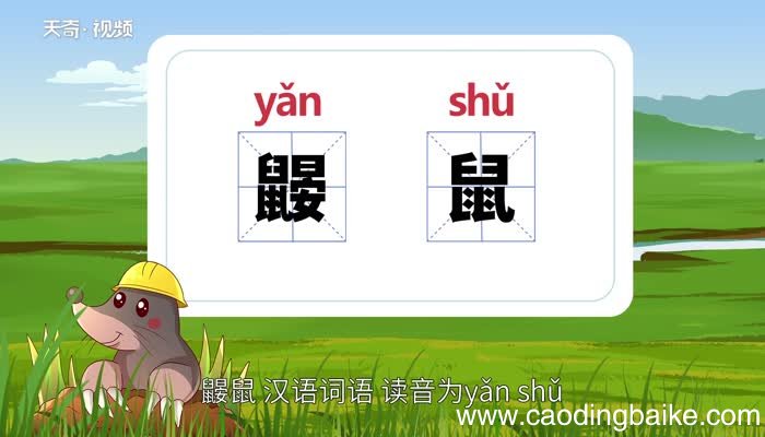 鼹鼠的意思 鼹鼠的解释