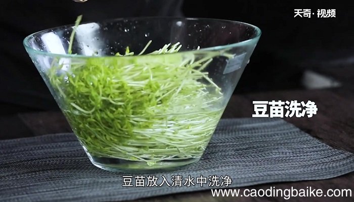 蒜香豆苗怎么做 蒜香豆苗的做法