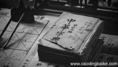 摘字的音序是什么音节是什么 摘字的音序和音节
