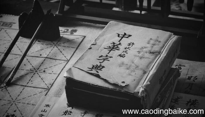 摘字的音序是什么音节是什么 摘字的音序和音节