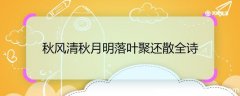 秋风清秋月明落叶聚还散全诗 秋风清秋月明落叶聚还散的全诗内