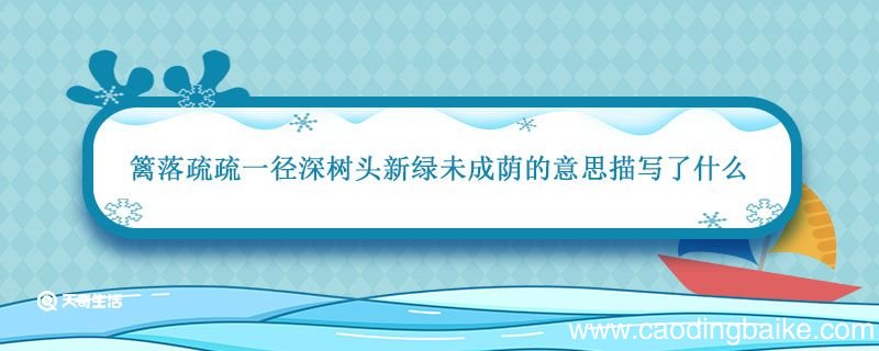 篱落疏疏一径深树头新绿未成荫的意思描写了什么 篱落疏疏一径深是什么意思