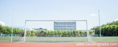 成都大学分数线 成都大学高考分数线