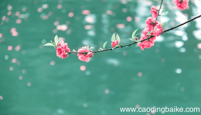 体现中国梦的名人事例 体现中国梦的名人事例有