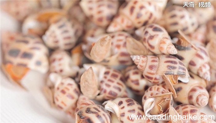 白灼花螺怎么做 白灼花螺的做法