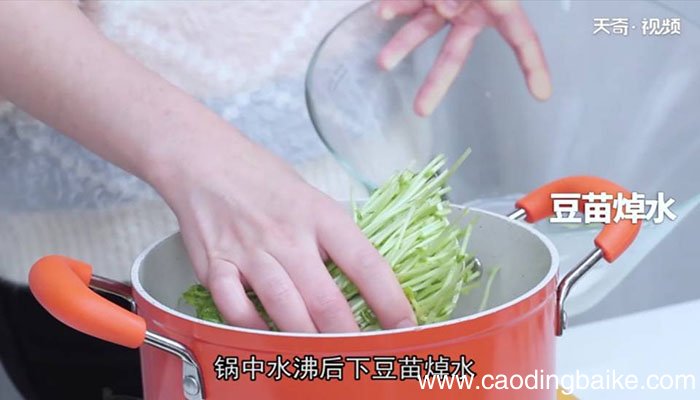 核桃苗怎么做 核桃苗