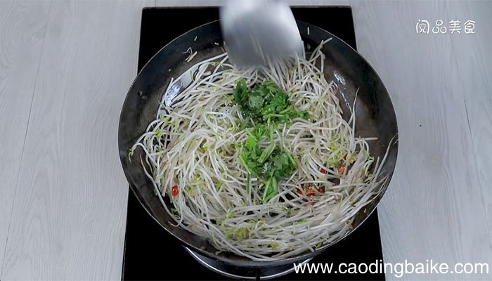 炒绿豆芽香菜的做法 炒绿豆芽香菜怎么做