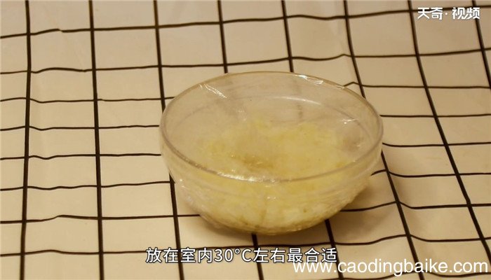 甜酒的做法 甜酒怎么做