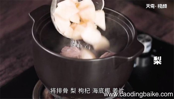海底椰雪梨煲排骨的做法 海底椰雪梨煲排骨怎么做
