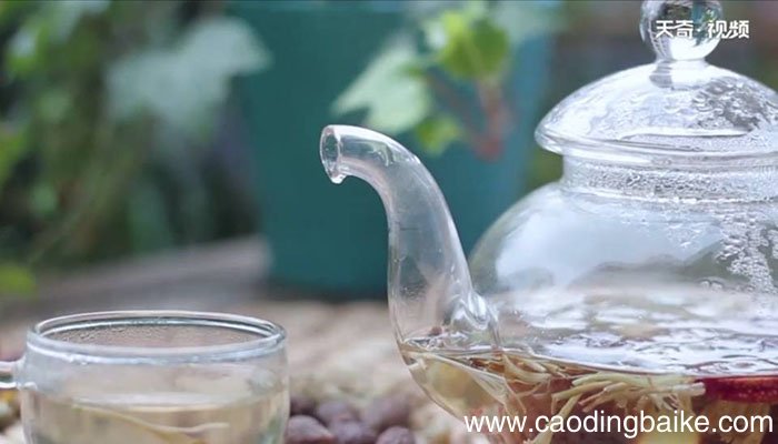 胖大海金银花茶怎么做 胖大海金银花茶
