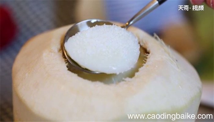 椰青奶冻的做法 椰青奶冻怎么做