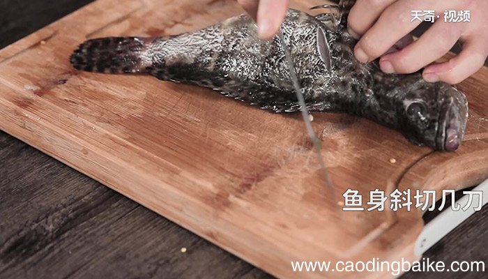 清蒸石斑鱼的做法 清蒸石斑鱼怎么做