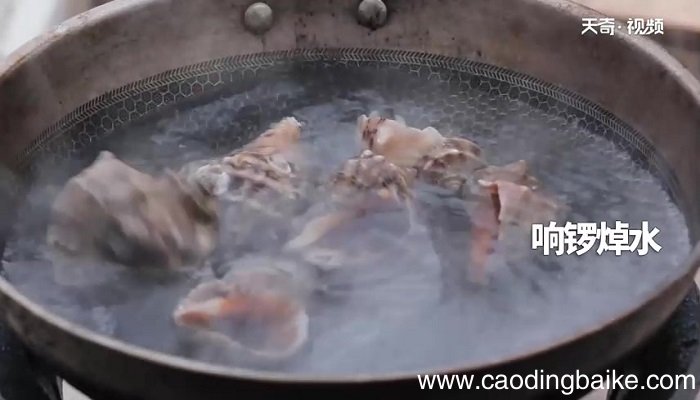 白灼响螺怎么做 白灼响螺的做法
