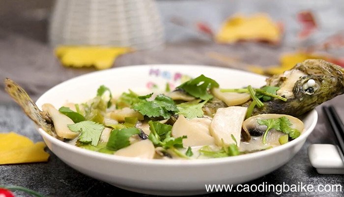 珍菌炖鳜鱼的做法 怎么做珍菌炖鳜鱼