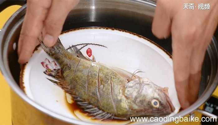清蒸鳜鱼的做法 清蒸鳜鱼怎么做