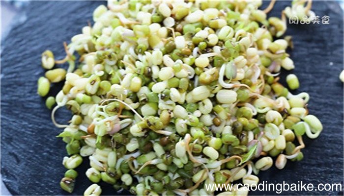 在家自己生绿豆芽怎么生 生绿豆芽的办法